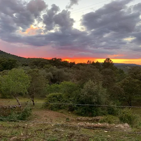Nature Space *