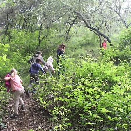 Nature Space Jabugo