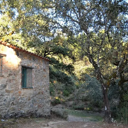 Chalet Nature Space *